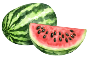 Watercolor Illustration of a Whole and Sliced Watermelon with Red Flesh and Black Seeds on a Transparent Background png