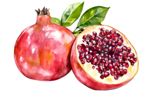 Watercolor Illustration of a Whole and a Half of Pomegranate with Red Seeds and Green Leaves on a Transparent Background png