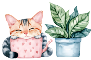 Watercolor Drawing of Sleeping Kitten in Pink Watering Can with Potted Plant with Green Leaves in Transparent Background png