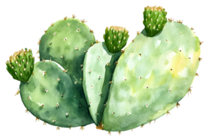 Watercolor Painting of a Prickly Pear Cactus with Green Pads and Small Buds Isolated on Transparent Background png
