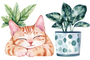 Watercolor Portrait of Ginger Cat Sleeping Near Potted Plants with Striped Pattern on Transparent Background png