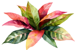Watercolor Leaves in Green and Red Tones Botanical Foliage with Detailed Texture Fresh Plant Art Isolated on Transparent Background png