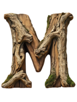 Wooden Letter M with Mossy Texture in Natural Light on a Transparent Backdrop Representing Alphabetical Typography and Creative Graphic Element png