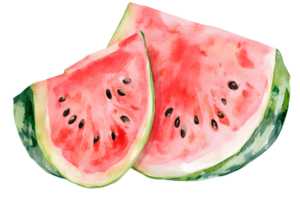 Watercolor Illustration of Two Slices of Juicy Watermelon with Pink Flesh Black Seeds and Green Rind on a Transparent Background png