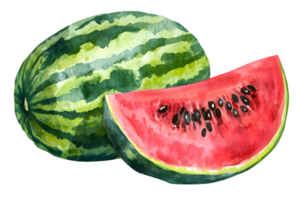 Watermelon Still Life Featuring Slice with Red Pulp on Transparent Background Fruit Slice Illustration with Green Rind Macro Seeds Watercolor Style png