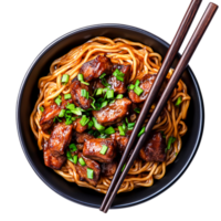 Delicious Bowl of Noodles with Meat and Green Onions Perfect for Dinner png