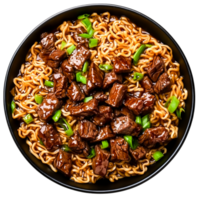 Delicious Beef and Noodle Dish with Fresh Green Onions in Black Bowl png