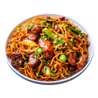 Delicious Stir-Fried Noodles with Chicken and Vegetables in a Bowl png