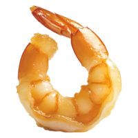 Fresh and Succulent Shrimp Isolated on for Seafood Lovers png