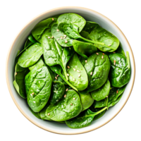 Fresh Spinach Leaves with Sesame Seeds in a White Bowl Overhead View png