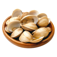 Fresh Clams in Natural Shells Arranged in a Wooden Bowl for Seafood Delicacy png