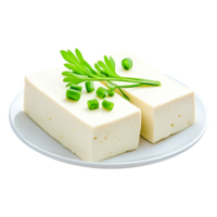 Fresh Soft White Cheese with Green Onind Herb Garnish Plate png