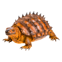 Asian Box Turtle Crawling on with Shell and Scales png