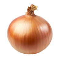 Close up of a Ripe Orange Onion with Textured Skin on a White Background png