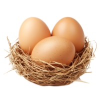 Closeup of a Nest with Natural Chicken Eggs on a Rustic Wooden Surface png