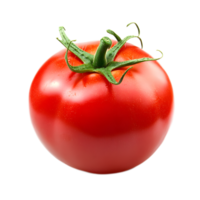 Close Up of Fresh Red Ripe Greenhouse Grown Tomato on White Background png