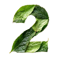 Digital Rendering of Leaf Informing Number Two in Natural Environment png