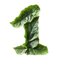 Leaf Numerically Representing the Environment and Nature png