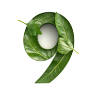 Leaf Numeric Design in Green Nature Environment png