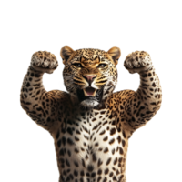 Powerful Leopard Displaying Strength and Intensity in Its Fierce Expression png