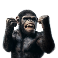 Powerful Simian with Fierce Expression Conveying Strength and Determination png