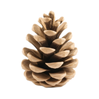 Detailed Closeup of a Symmetrical Pine Cone Displaying Its Intricate Natural Patterns and Textures png