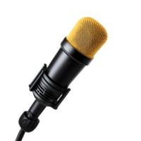 Professional Studio Microphone for Vocal Recording and Broadcast png