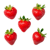 frisch gepflückt reif und saftig Erdbeeren vereinbart worden im ein verlockend Anzeige png