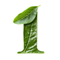 Stylized Leaf Forming Number One with Green Natural Environment Concept png