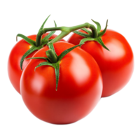 Cluster of Fresh Ripe Tomatoes on Vine with Stems png