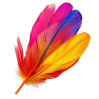 Vibrant and Colorful Feather Patterns Creating and Decorative Designs png