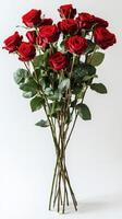 Roses arranged in a bouquet highlighting vibrant red petals and lush green leaves against a plain background photo
