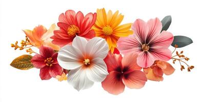Vibrant arrangement of blooming flowers showcasing diverse colors and shapes photo