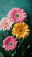 Colorful gerbera daisies in shades of pink and yellow arranged with green leaves on a textured background photo