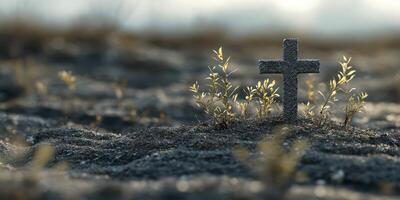 Cross stands resilient among emerging green plants on a barren landscape during golden hour near a calm water body photo