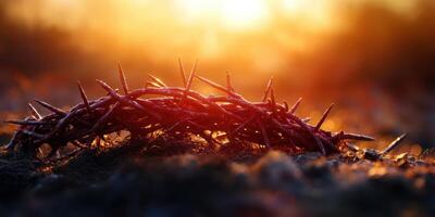Crown of thorns resting on the ground at sunset, symbolizing sacrifice and resilience in nature photo