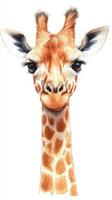 Giraffe portrait showcasing distinctive features and vibrant colors in an artistic depiction photo