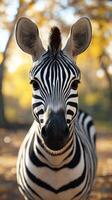 Striking close-up of a zebra in a forest during autumn with vibrant yellow leaves surrounding it photo