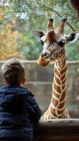 Child interacts with giraffe at zoo enclosure during autumn afternoon photo