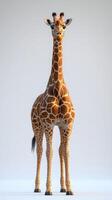 Giraffe standing gracefully in a minimalist studio environment during daylight hours photo