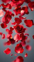 Floating red rose among scattered rose petals creating a romantic atmosphere in soft light photo