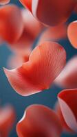 Floating red petals create a serene ambiance in an artistic and vibrant setting photo
