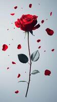 Bright red rose surrounded by floating petals against a soft background at an elegant setting photo