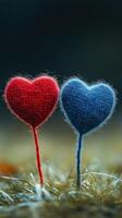 Two colorful fabric hearts stand together on a grassy surface under soft natural light in a serene outdoor setting photo
