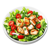 chicken salad with tomatoes and lettuce on a plate png