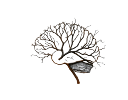 Realistic tree without leaves isolated on transparent background png