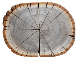 Cross section of tree trunk with annual rings, isolated on transparent background png