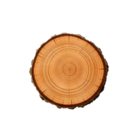 Close-up of a sliced tree log showing annual rings and texture. png