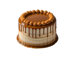 Delicious caramel cake with cream topping and dripping sauce png