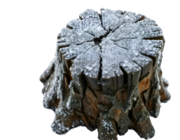 Snowy Tree Stump in Winter png